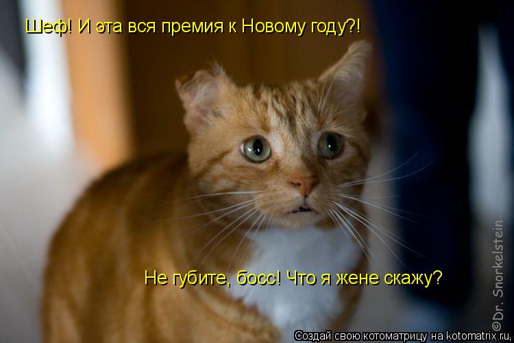 Шеф! И эта вся премия к Новому году?! Не губите, босс! Что я жене скажу?... Котоматрица: Шеф! И эта вся премия к Новому году?! Не губите, босс! Что я жене скажу?