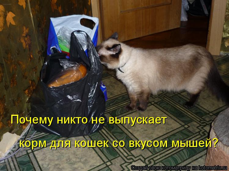 Почему никто не выпускает коpм для кошек со вкусом мышей?... Котоматрица: Почему никто не выпускает коpм для кошек со вкусом мышей?
