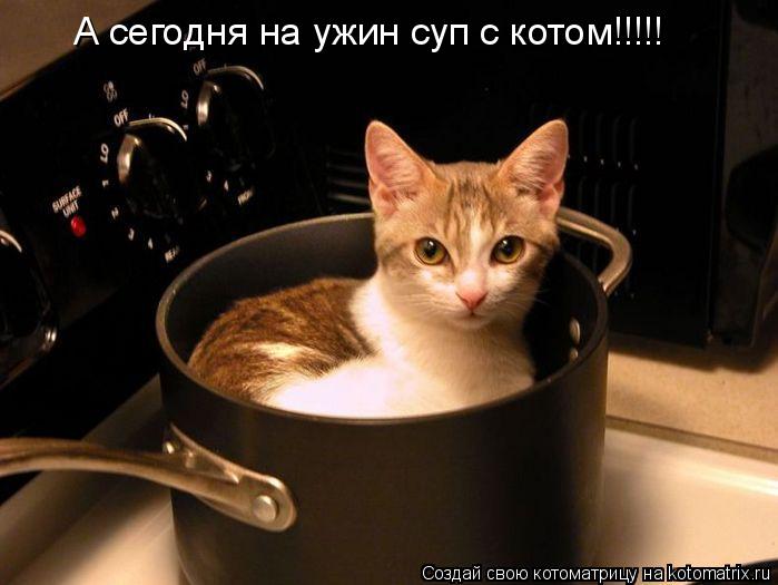 А сегодня на ужин суп с котом!!!!!... Котоматрица: А сегодня на ужин суп с котом!!!!!