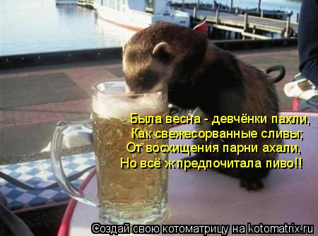 Была весна - девчёнки пахли, Как свежесорванные сливы; От восхищения парни ахали, Но всё ж предпочи... Котоматрица: Была весна - девчёнки пахли, Как свежесорванные сливы; От восхищения парни ахали, Но всё ж предпочитала пиво!!