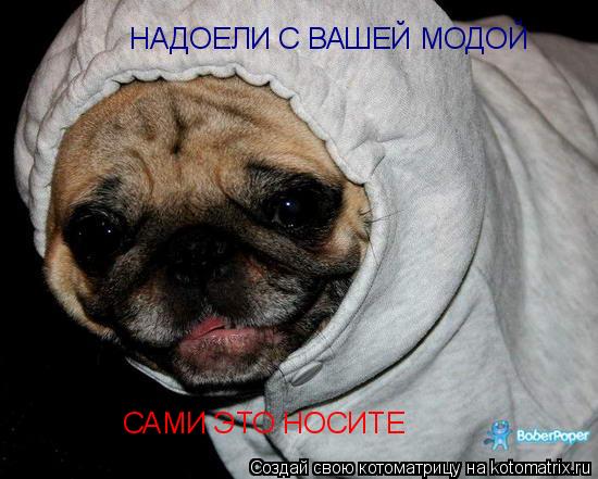 НАДОЕЛИ С ВАШЕЙ МОДОЙ САМИ ЭТО НОСИТЕ... Котоматрица: НАДОЕЛИ С ВАШЕЙ МОДОЙ САМИ ЭТО НОСИТЕ