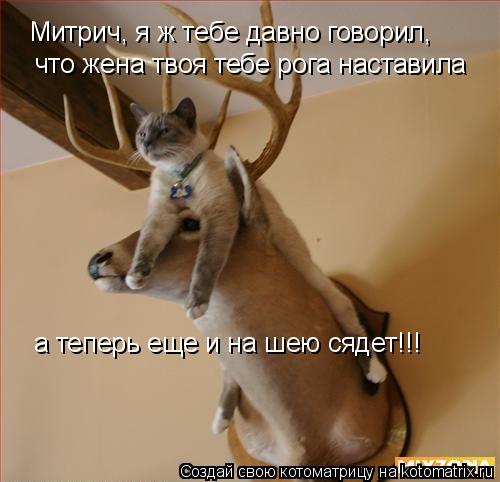 Митрич, я ж тебе давно говорил, что жена твоя тебе рога наставила а теперь еще и на шею сядет!!!... Котоматрица: Митрич, я ж тебе давно говорил, что жена твоя тебе рога наставила а теперь еще и на шею сядет!!!