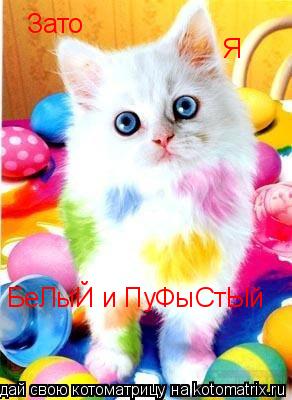 Зато Зато Я БеЛыЙ и ПуФыСтЫй... Котоматрица: Зато Зато Я БеЛыЙ и ПуФыСтЫй