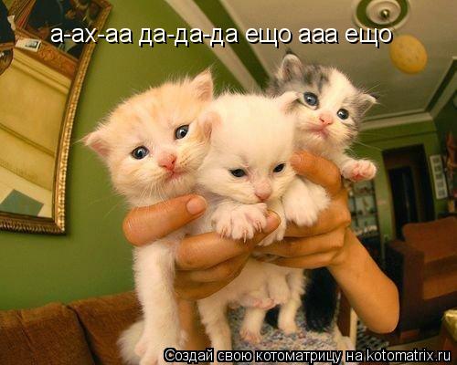 а-ах-аа да-да-да ещо ааа ещо... Котоматрица: а-ах-аа да-да-да ещо ааа ещо