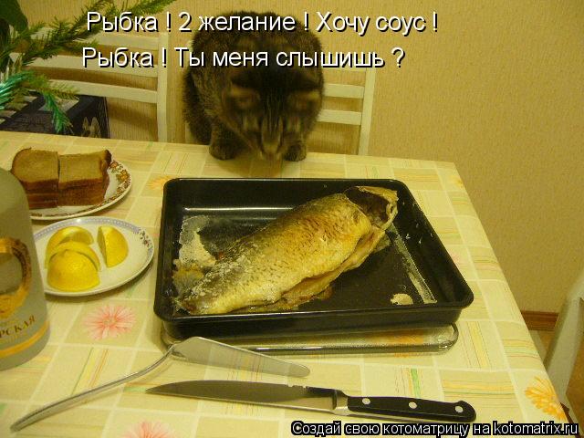 Рыбка ! 2 желание ! Хочу соус ! Рыбка ! Ты меня слышишь ?... Котоматрица: Рыбка ! 2 желание ! Хочу соус ! Рыбка ! Ты меня слышишь ?