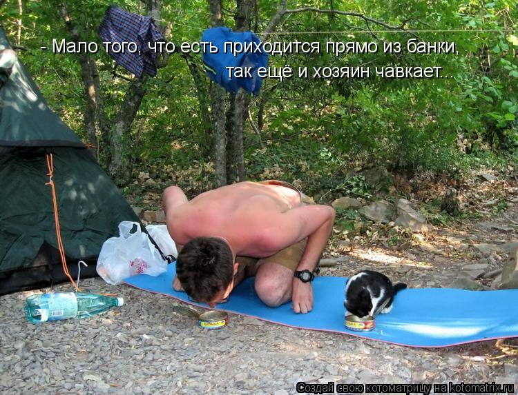 - Мало того, что есть приходится прямо из банки, так ещё и хозяин чавкает...... Котоматрица: - Мало того, что есть приходится прямо из банки, так ещё и хозяин чавкает...