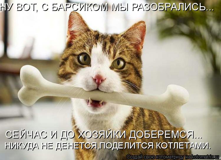 НУ ВОТ, С БАРСИКОМ МЫ РАЗОБРАЛИСЬ... СЕЙЧАС И ДО ХОЗЯЙКИ ДОБЕРЕМСЯ... НИКУДА НЕ ДЕНЕТСЯ,ПОДЕЛИТСЯ КОТ... Котоматрица: НУ ВОТ, С БАРСИКОМ МЫ РАЗОБРАЛИСЬ... СЕЙЧАС И ДО ХОЗЯЙКИ ДОБЕРЕМСЯ... НИКУДА НЕ ДЕНЕТСЯ,ПОДЕЛИТСЯ КОТЛЕТАМИ.