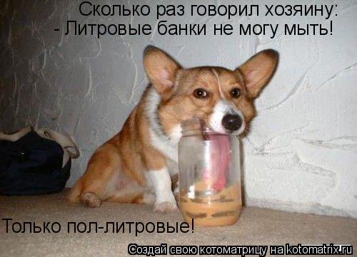 Сколько раз говорил хозяину: - Литровые банки не могу мыть! Только пол-литровые!... Котоматрица: Сколько раз говорил хозяину: - Литровые банки не могу мыть! Только пол-литровые!
