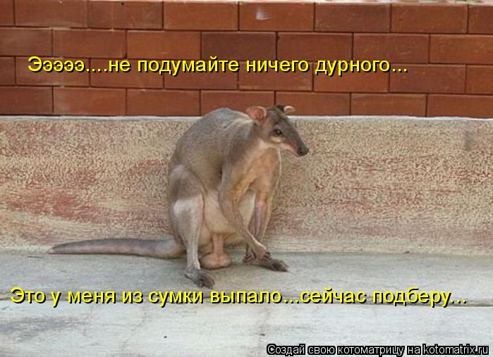 Эээээ....не подумайте ничего дурного... Это у меня из сумки выпало...сейчас подберу...... Котоматрица: Эээээ....не подумайте ничего дурного... Это у меня из сумки выпало...сейчас подберу...