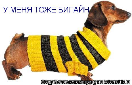 У МЕНЯ ТОЖЕ БИЛАЙН... Котоматрица: У МЕНЯ ТОЖЕ БИЛАЙН