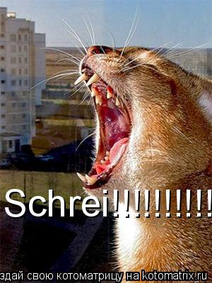 Schrei!!!!!!!!!!!!!!!!!!!!!!!!!... Котоматрица: Schrei!!!!!!!!!!!!!!!!!!!!!!!!!
