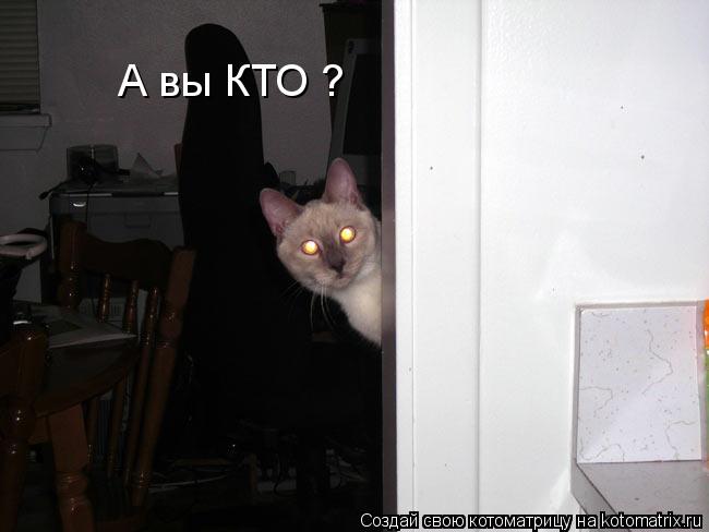 А вы КТО ?... Котоматрица: А вы КТО ?