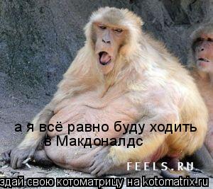 а я всё равно буду ходить в Макдоналдс... Котоматрица: а я всё равно буду ходить в Макдоналдс