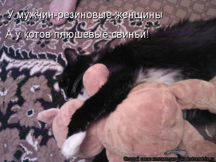 У мужчин-резиновые женщины А у котов плюшевые свиньи!... Котоматрица: У мужчин-резиновые женщины А у котов плюшевые свиньи!