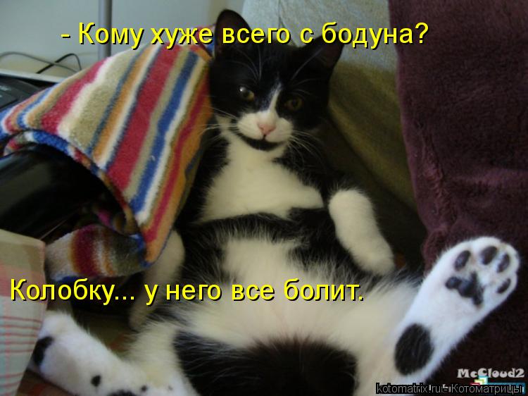 - Кому хуже всего с бодуна? Колобку... у него все болит.... Котоматрица: - Кому хуже всего с бодуна? Колобку... у него все болит.