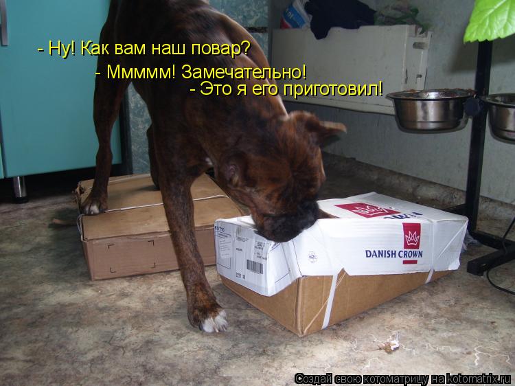 - Ну! Как вам наш повар? - Ммммм! Замечательно! - Это я его приготовил!... Котоматрица: - Ну! Как вам наш повар? - Ммммм! Замечательно! - Это я его приготовил!