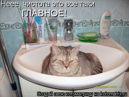 Неее, чистота это все таки ГЛАВНОЕ!... Котоматрица: Неее, чистота это все таки ГЛАВНОЕ!