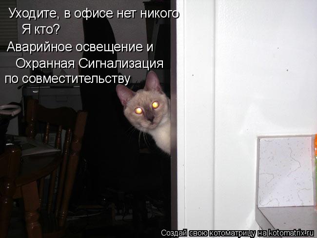Уходите, в офисе нет никого Я кто? Охранная Сигнализация Аварийное освещение и по совместительству... Котоматрица: Уходите, в офисе нет никого Я кто? Охранная Сигнализация Аварийное освещение и по совместительству