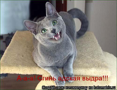 А-а-а! Сгинь адская выдра!!!... Котоматрица: А-а-а! Сгинь адская выдра!!!