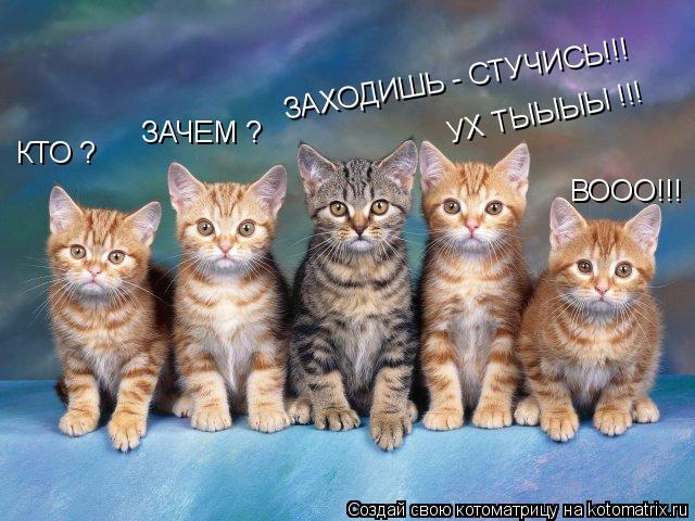 КТО ? ЗАЧЕМ ? ВООО!!! ЗАХОДИШЬ - СТУЧИСЬ!!! УХ ТЫЫЫЫ !!!... Котоматрица: КТО ? ЗАЧЕМ ? ВООО!!! ЗАХОДИШЬ - СТУЧИСЬ!!! УХ ТЫЫЫЫ !!!
