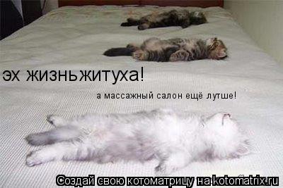 эх жизнь житуха! а массажный салон ещё лутше!... Котоматрица: эх жизнь житуха! а массажный салон ещё лутше!