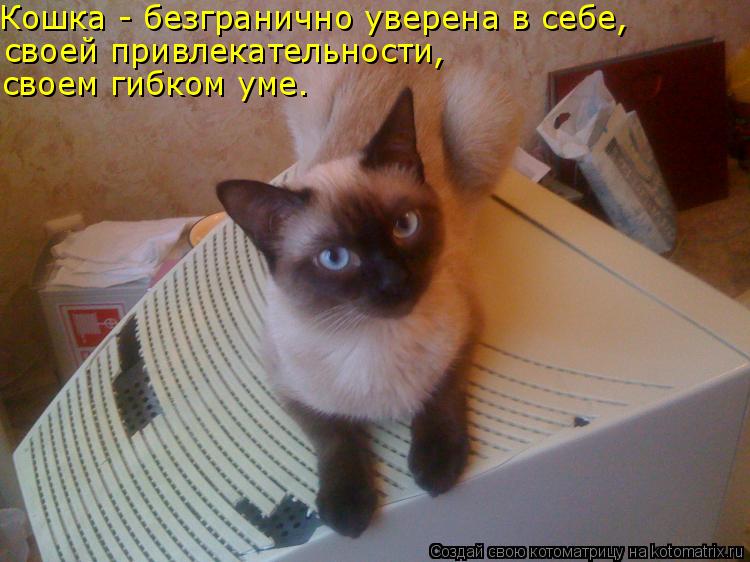 Кошка - безгранично уверена в себе, своей привлекательности, своем гибком уме.... Котоматрица: Кошка - безгранично уверена в себе, своей привлекательности, своем гибком уме.