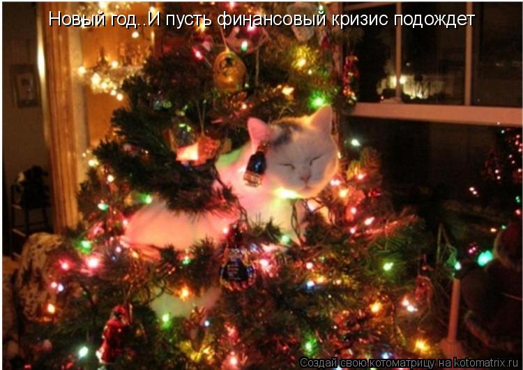 Новый год..И пусть финансовый кризис подождет... Котоматрица: Новый год..И пусть финансовый кризис подождет