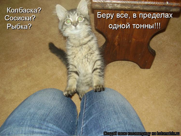 Колбаска? Сосиски? Беру все, в пределах одной тонны!!! Рыбка?... Котоматрица: Колбаска? Сосиски? Беру все, в пределах одной тонны!!! Рыбка?