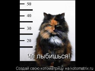 Че лыбишься!... Котоматрица: Че лыбишься!