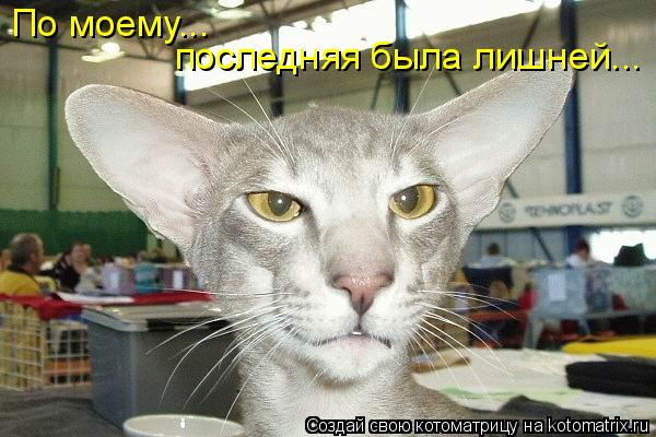По моему... последняя была лишней...... Котоматрица: По моему... последняя была лишней...