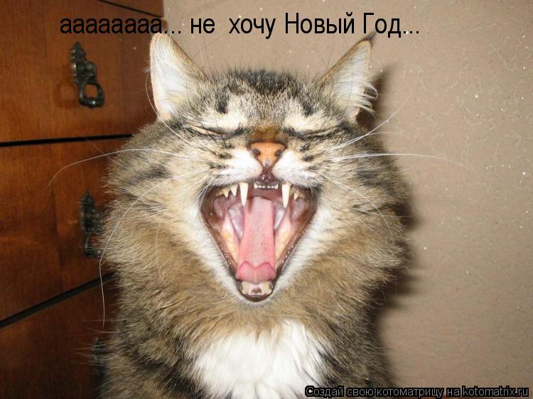 аааааааа... не хочу Новый Год...... Котоматрица: аааааааа... не хочу Новый Год...
