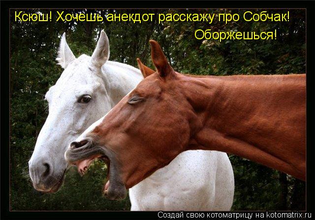Ксюш! Хочешь анекдот расскажу про Собчак! Оборжешься!... Котоматрица: Ксюш! Хочешь анекдот расскажу про Собчак! Оборжешься!
