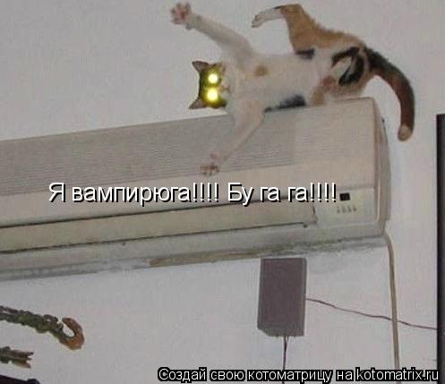 Я вампирюга!!!! Бу га га!!!!... Котоматрица: Я вампирюга!!!! Бу га га!!!!