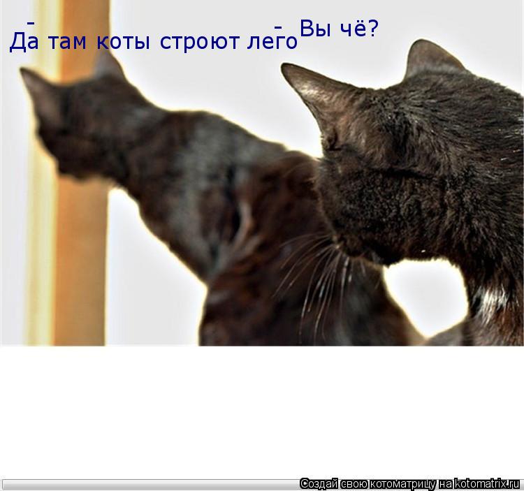 Вы чё? - - Да там коты строют лего Да там коты строют лего... Котоматрица: Вы чё? - - Да там коты строют лего Да там коты строют лего