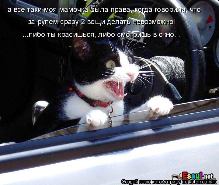 а все таки моя мамочка была права, когда говорила, что за рулем сразу 2 вещи делать невозможно! ...ли... Котоматрица: а все таки моя мамочка была права, когда говорила, что за рулем сразу 2 вещи делать невозможно! ...либо ты красишься, либо смотришь в окно...