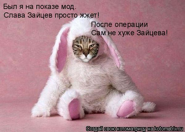 Был я на показе мод. Слава Зайцев просто жжет! После операции Сам не хуже Зайцева!... Котоматрица: Был я на показе мод. Слава Зайцев просто жжет! После операции Сам не хуже Зайцева!
