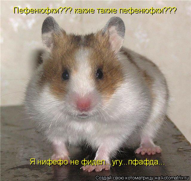 Пефенюфки??? какие такие пефенюфки??? Я нифефо не фидел...угу...пфафда...... Котоматрица: Пефенюфки??? какие такие пефенюфки??? Я нифефо не фидел...угу...пфафда...