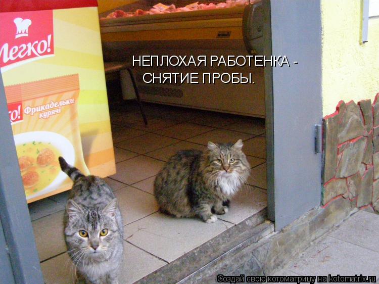 НЕПЛОХАЯ РАБОТЕНКА - СНЯТИЕ ПРОБЫ.... Котоматрица: НЕПЛОХАЯ РАБОТЕНКА - СНЯТИЕ ПРОБЫ.