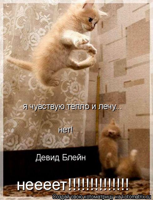 я чувствую тепло и лечу... нет! Девид Блейн неееет!!!!!!!!!!!!!!... Котоматрица: я чувствую тепло и лечу... нет! Девид Блейн неееет!!!!!!!!!!!!!!