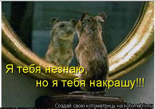 Я тебя незнаю, но я тебя накрашу!!!... Котоматрица: Я тебя незнаю, но я тебя накрашу!!!