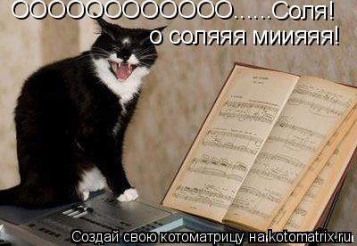 ОООООООООООО...... Соля! о соляяя миияяя!... Котоматрица: ОООООООООООО...... Соля! о соляяя миияяя!