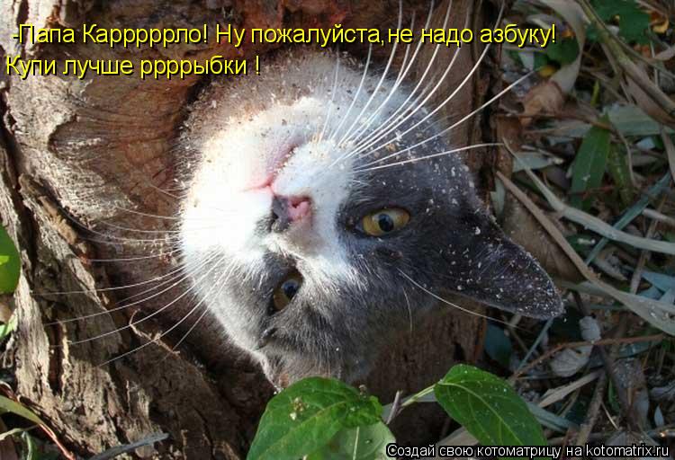 -Папа Карррррло! Ну пожалуйста,не надо азбуку! Купи лучше ррррыбки !... Котоматрица: -Папа Карррррло! Ну пожалуйста,не надо азбуку! Купи лучше ррррыбки !