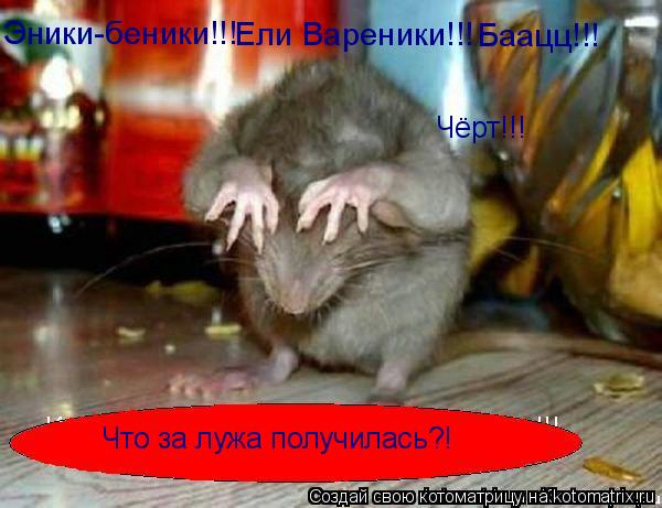 Эники-беники!!! Ели Вареники!!! Баацц!!! Чёрт!!! Что за лужа получилась?!... Котоматрица: Эники-беники!!! Ели Вареники!!! Баацц!!! Чёрт!!! Что за лужа получилась?!