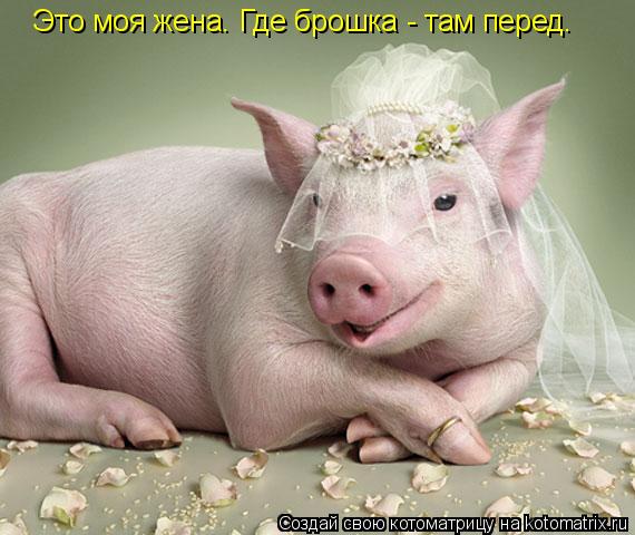 Это моя жена. Где брошка - там перед.... Котоматрица: Это моя жена. Где брошка - там перед.
