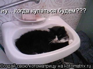 ну... когда купаться будем???... Котоматрица: ну... когда купаться будем???
