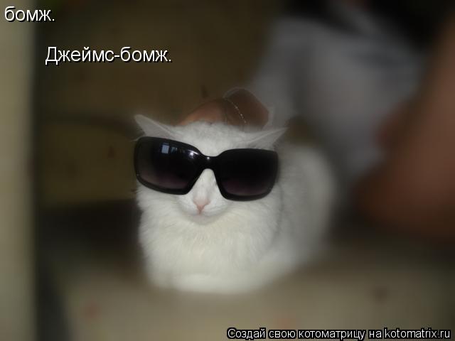 бомж. Джеймс-бомж.... Котоматрица: бомж. Джеймс-бомж.