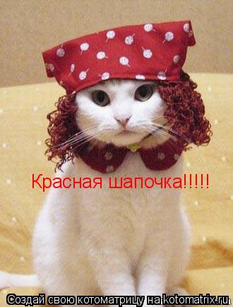 Красная шапочка!!!!!... Котоматрица: Красная шапочка!!!!!