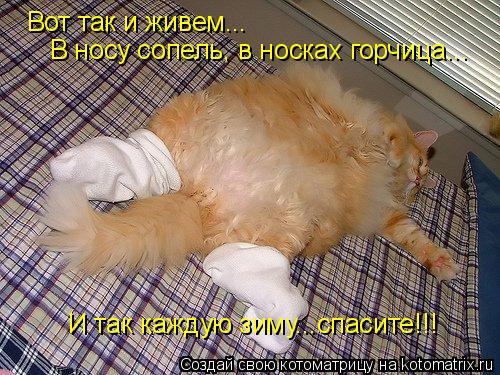 Вот так и живем... В носу сопель, в носках горчица... И так каждую зиму...спасите!!!... Котоматрица: Вот так и живем... В носу сопель, в носках горчица... И так каждую зиму...спасите!!!