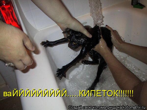 ваЙЙЙЙЙЙЙЙЙ.....КИПЕТОК!!!!!!!... Котоматрица: ваЙЙЙЙЙЙЙЙЙ.....КИПЕТОК!!!!!!!