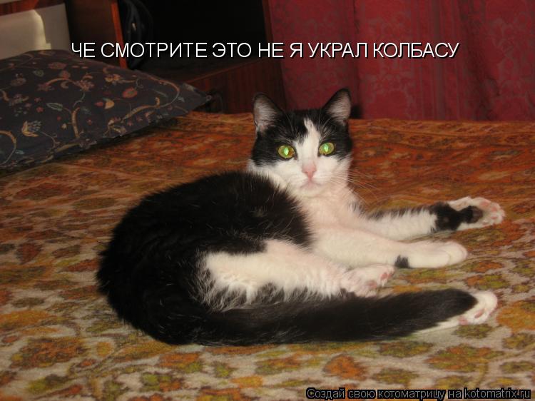 ЧЕ СМОТРИТЕ ЭТО НЕ Я УКРАЛ КОЛБАСУ... Котоматрица: ЧЕ СМОТРИТЕ ЭТО НЕ Я УКРАЛ КОЛБАСУ